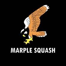 Marple Squash Club — gallery image 1